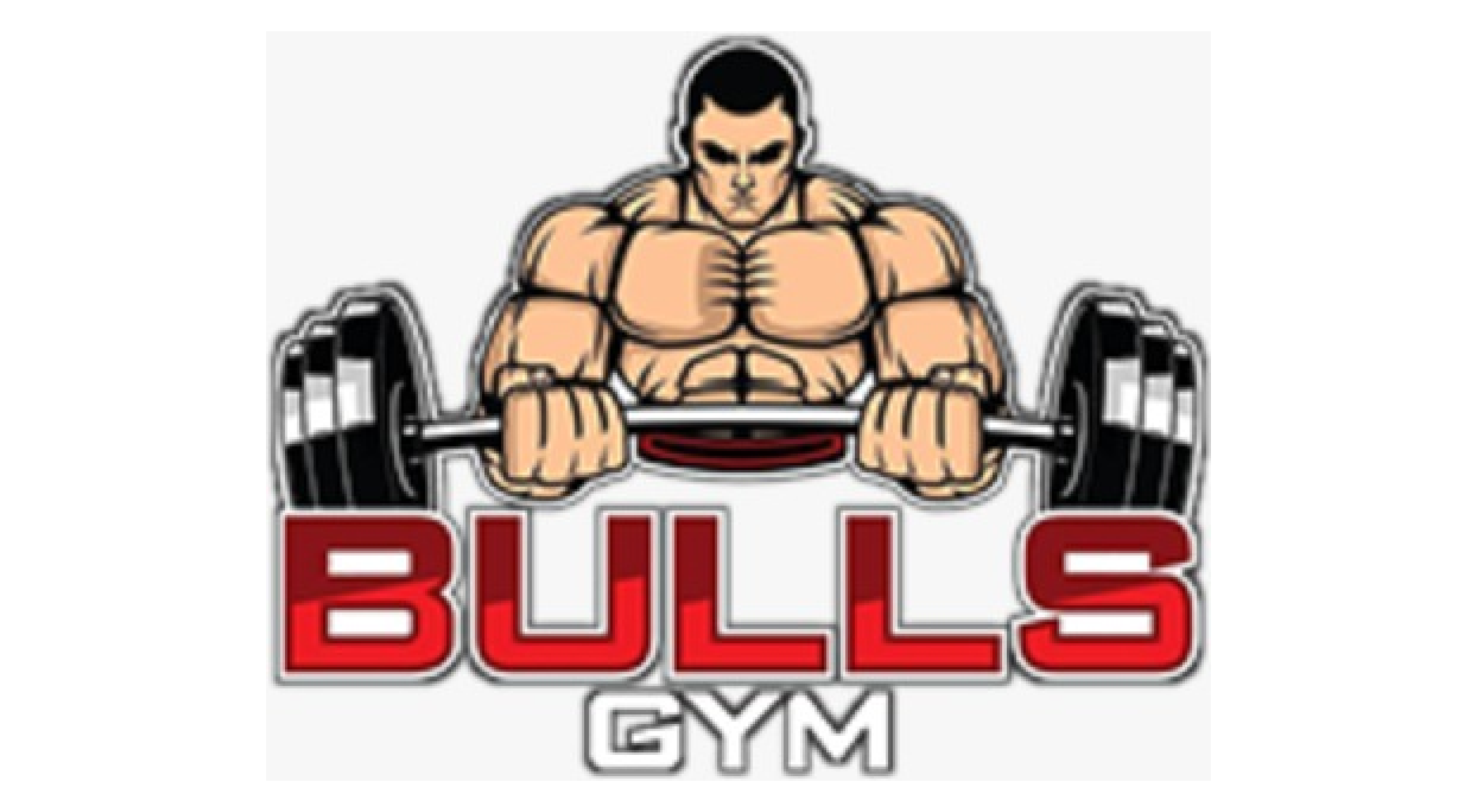 bulls